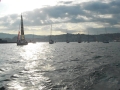 Barcolana_2014_2