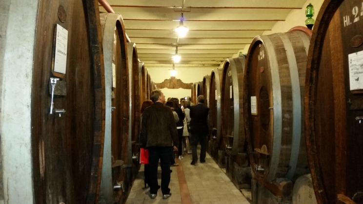18_05_2015_vinsantaia_1