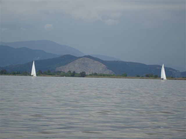 DSC00480