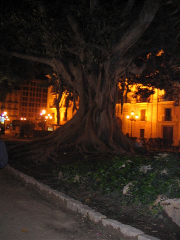 Valencia 119