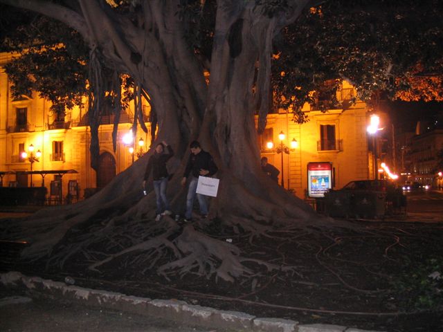 Valencia 120