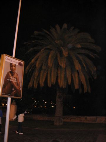 Valencia 134