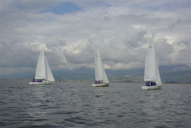IMGP3511