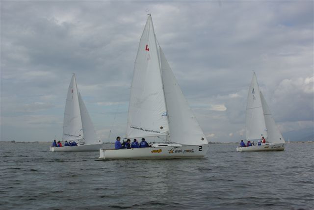 IMGP3516