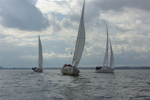 IMGP3524