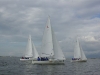 IMGP3514