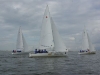 IMGP3516