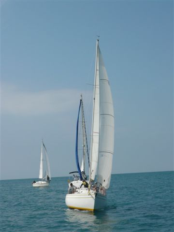 P1000317