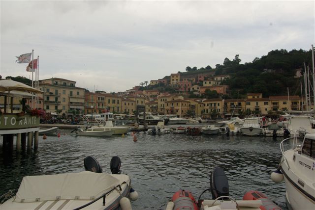 IMGP2241