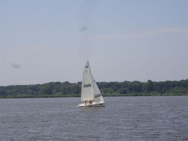 vela_029