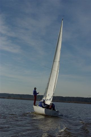 IMGP3681