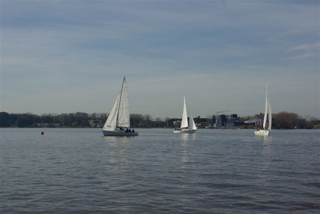 IMGP3699