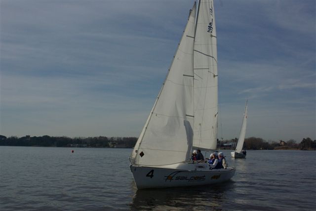 IMGP3702