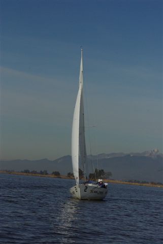 IMGP3717