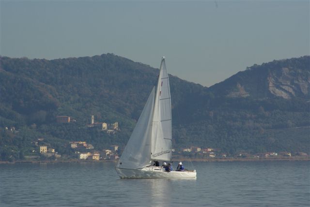 IMGP3733