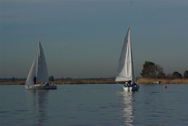 IMGP3741