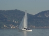 IMGP3733