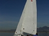 IMGP3739