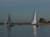 IMGP3741